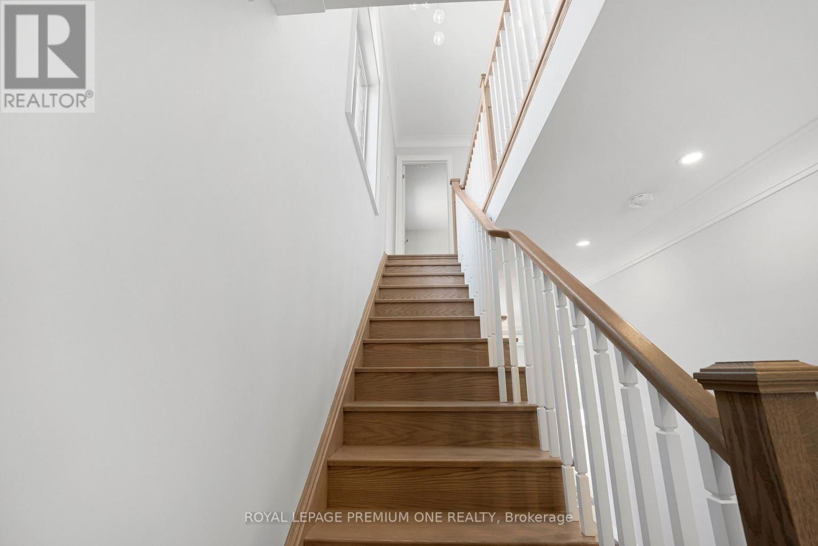 8 JACK KENNY COURT Image 19