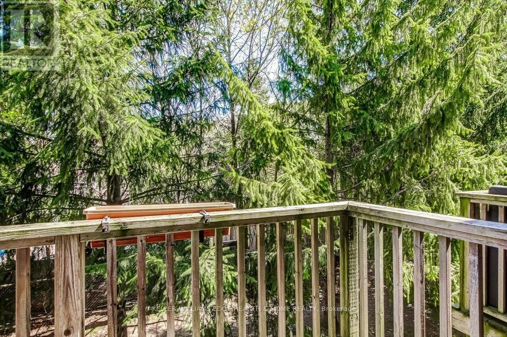 4262 INGRAM COMMON Image 15