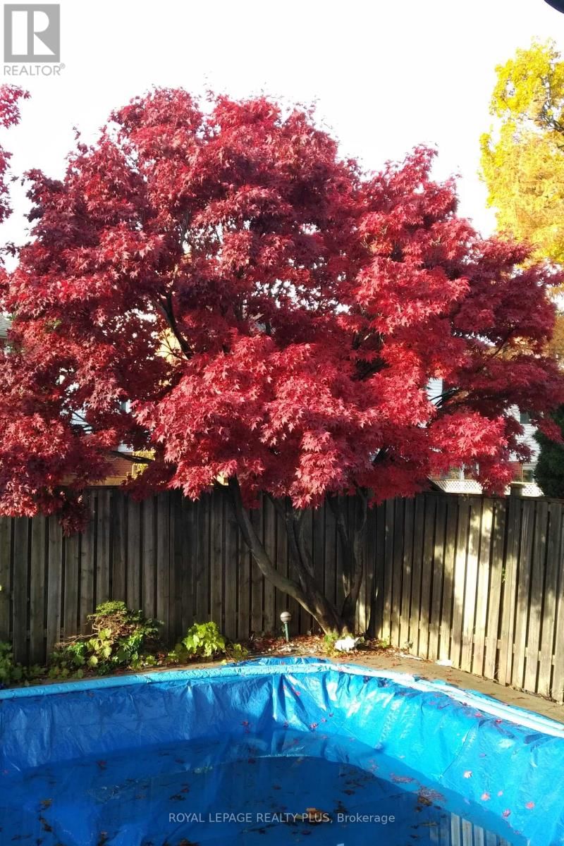 4170 TREETOP CRESCENT Image 39