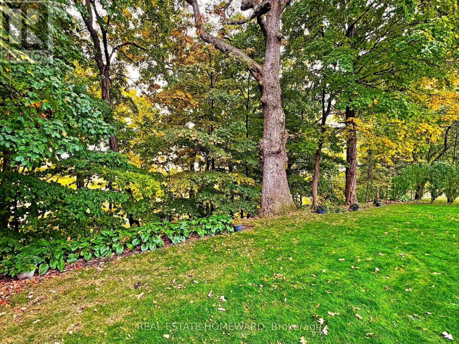 3058 VIEWMOUNT ROAD Image 36