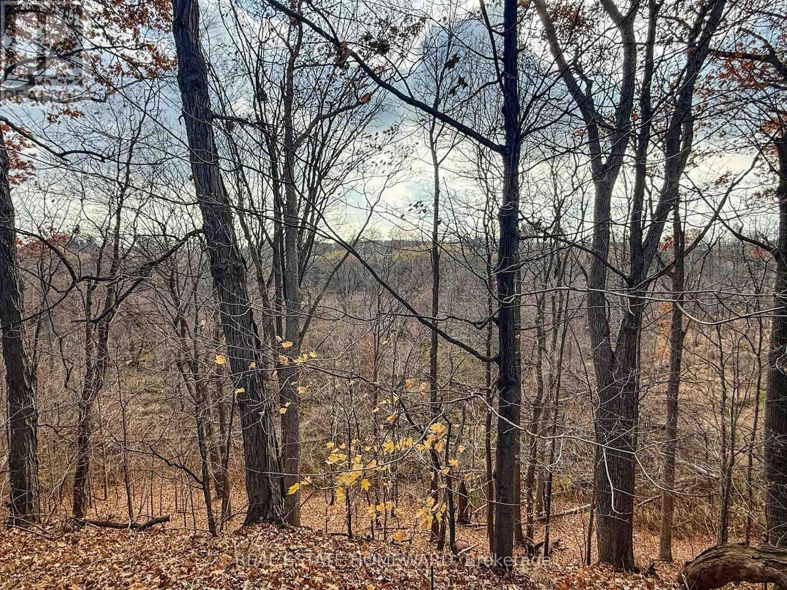 3058 VIEWMOUNT ROAD Image 40