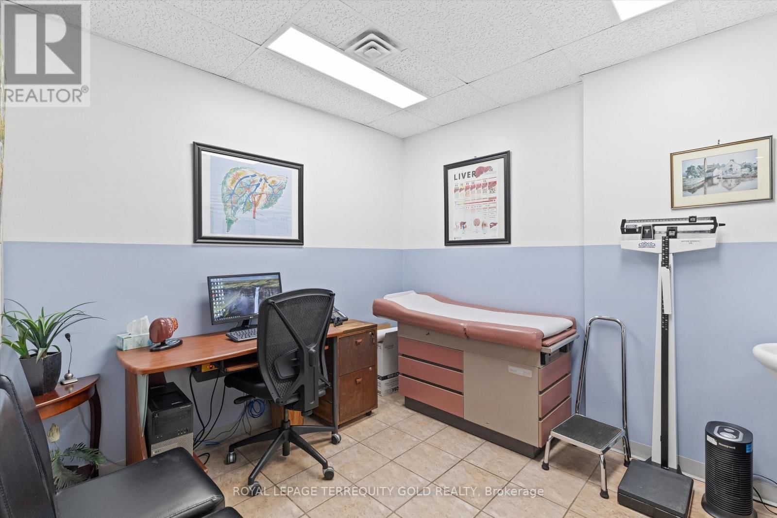 DUFFERIN STREET Image 12