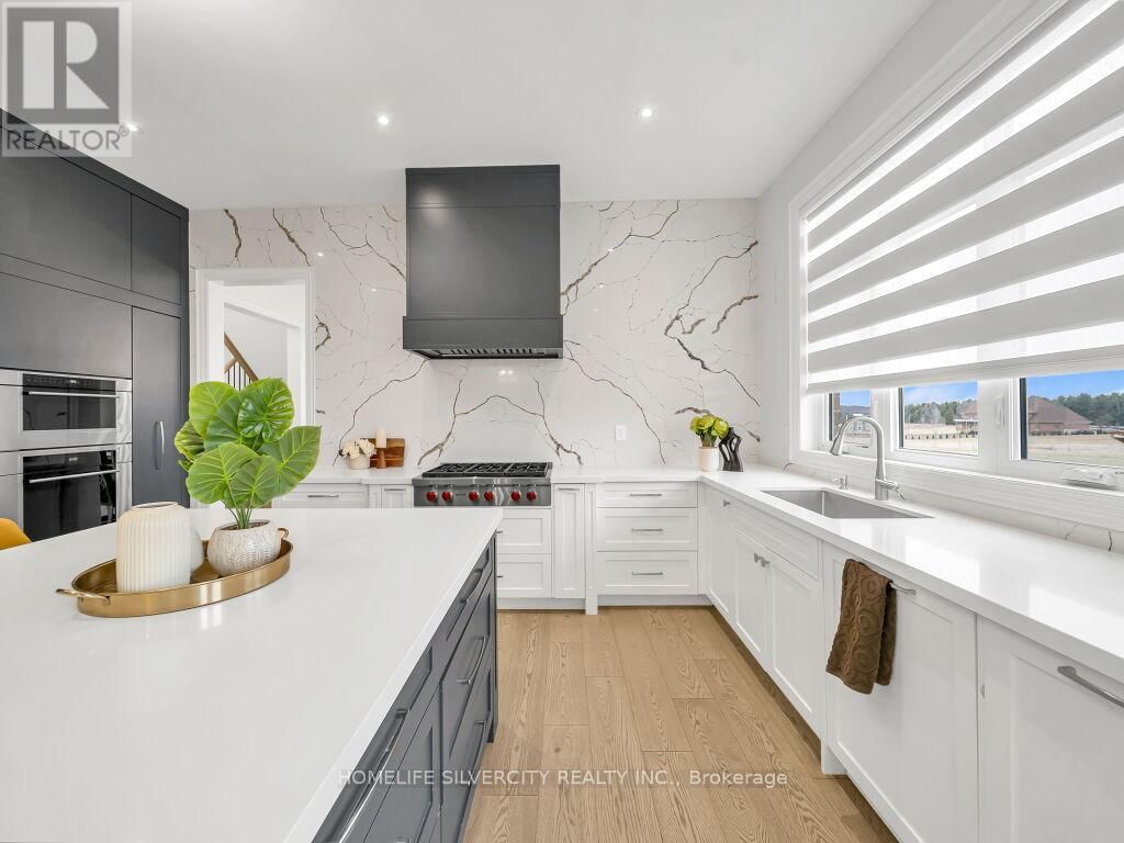 255 AMOS DRIVE Image 18