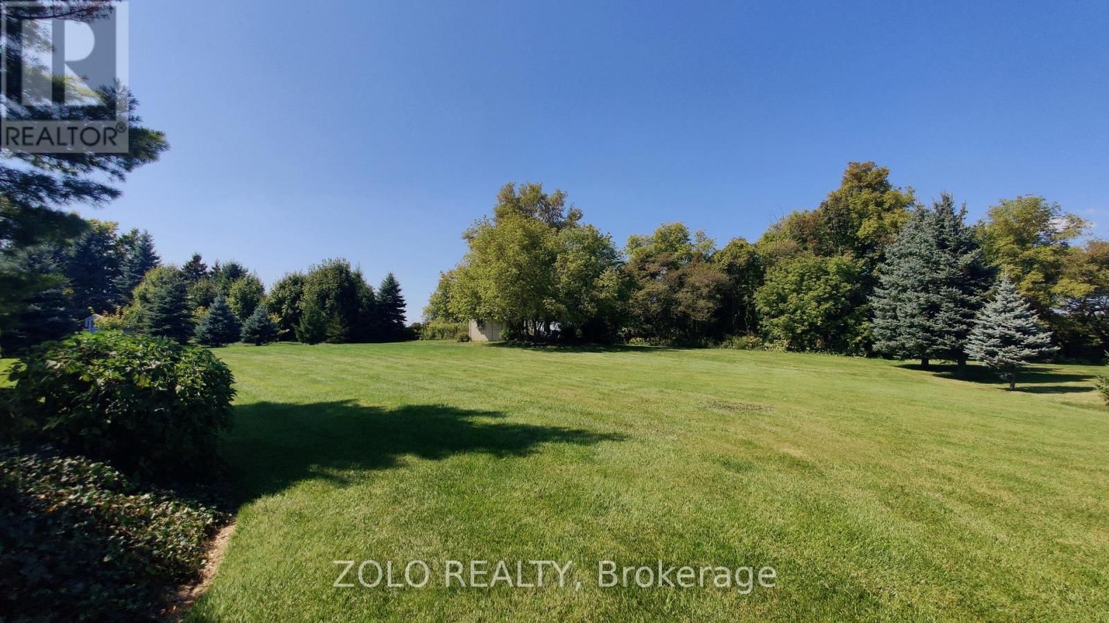 6 MASSARI STREET Image 46