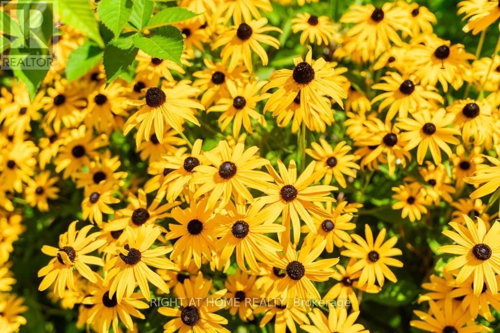 3300 REDMOND ROAD Image 46