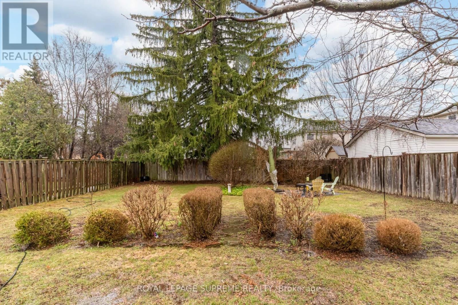 21 MURRAY STREET Image 21