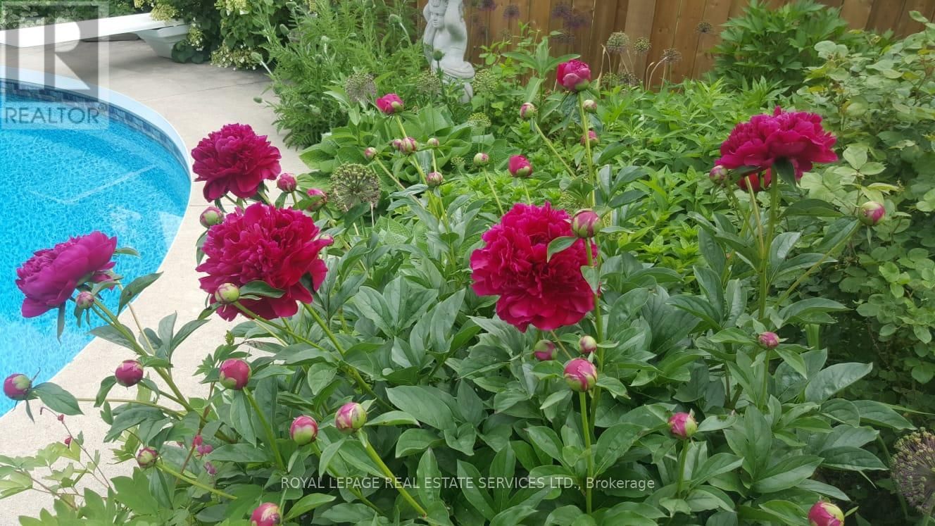 5171 HIDDEN VALLEY COURT Image 31