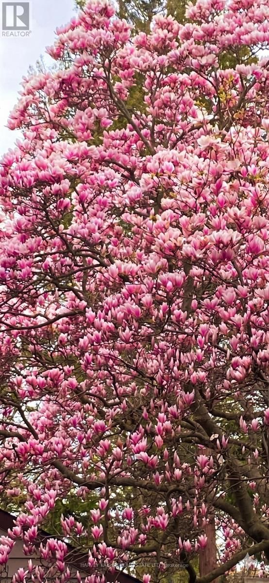 4 TWENTY THIRD STREET Image 29