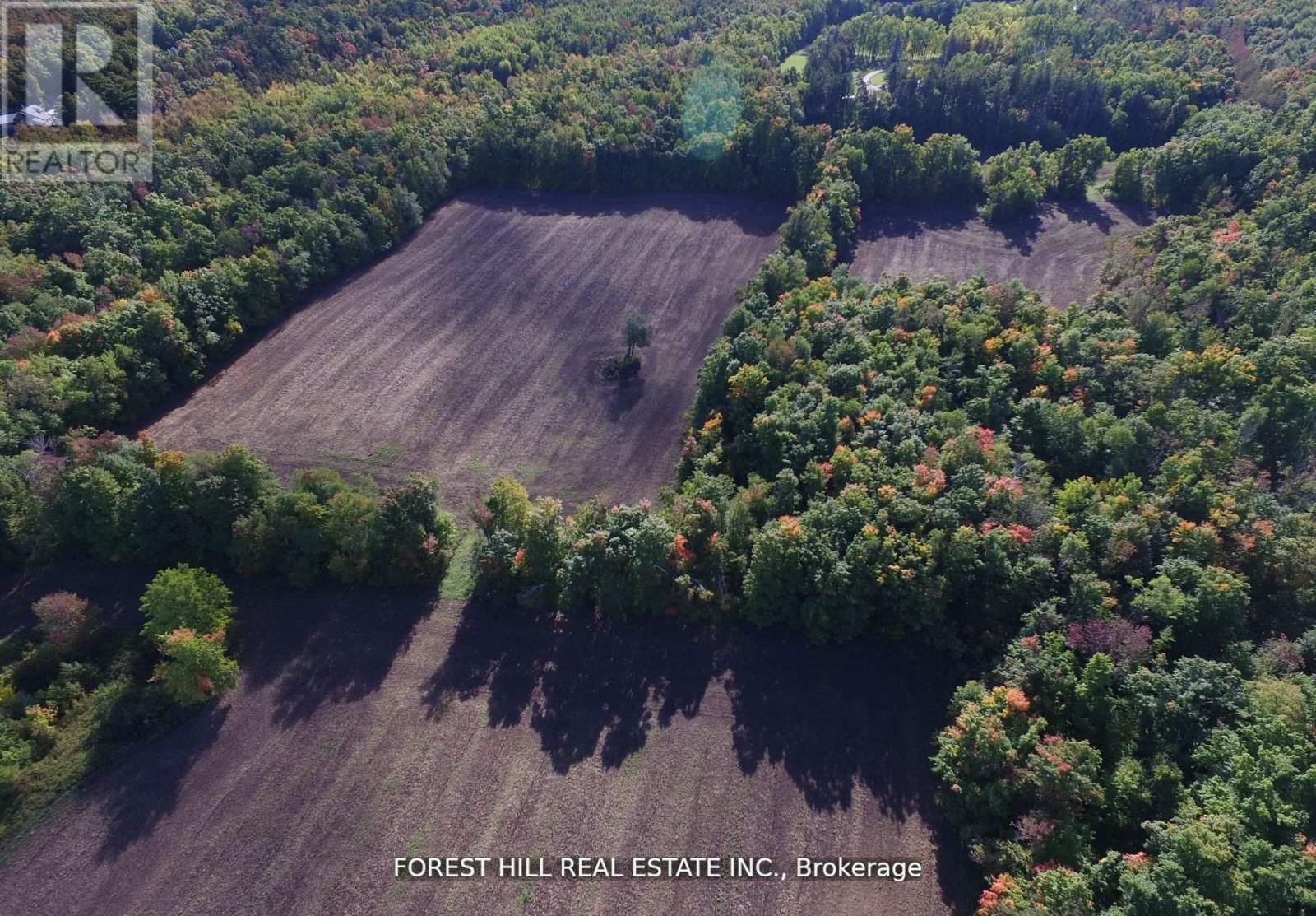 7406 17 SIDE ROAD Image 10