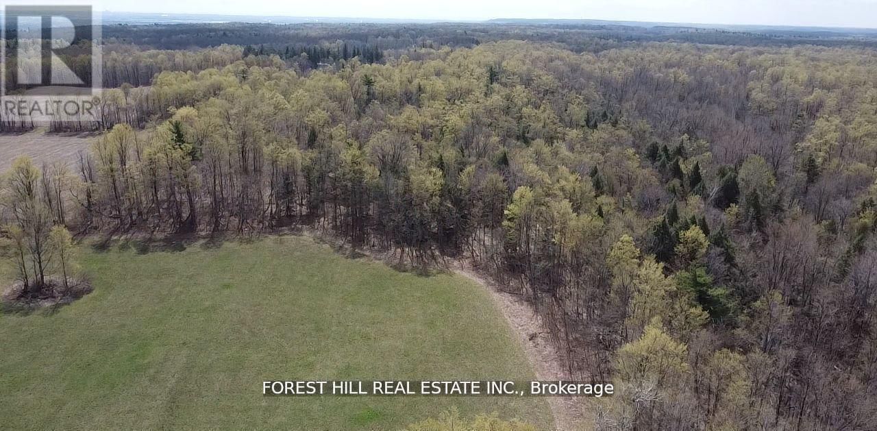 7406 17 SIDE ROAD Image 3