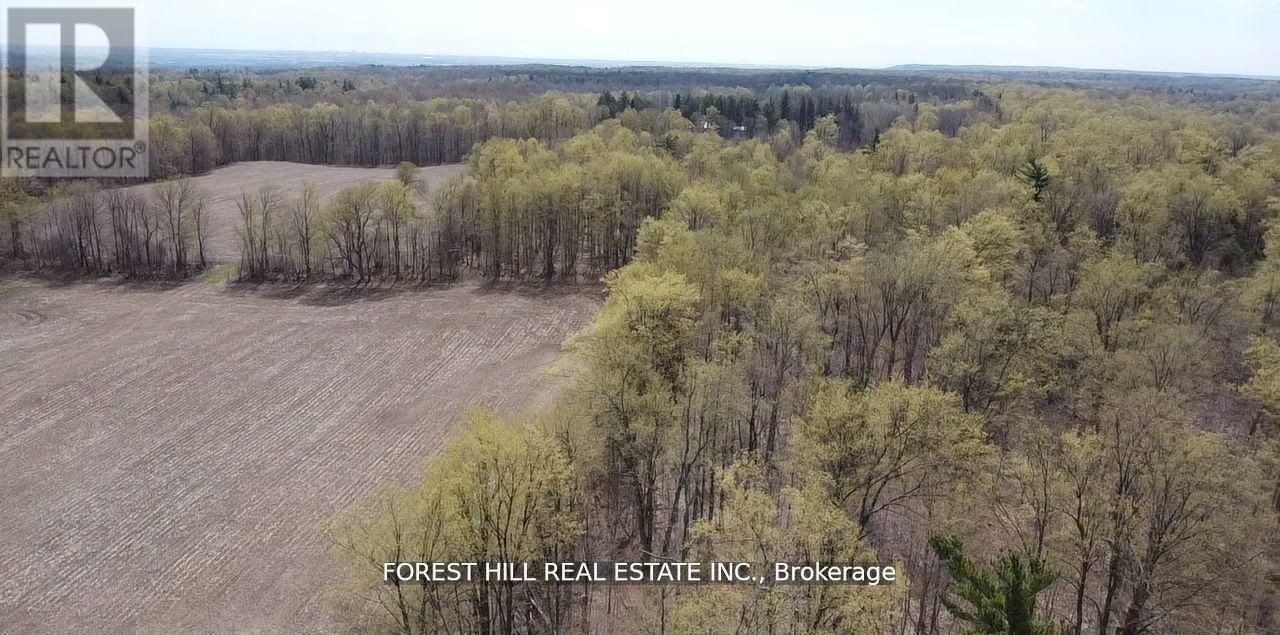 7406 17 SIDE ROAD Image 4