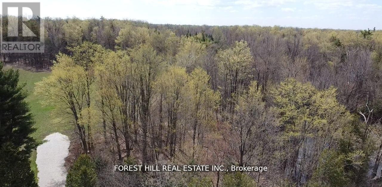 7406 17 SIDE ROAD Image 5