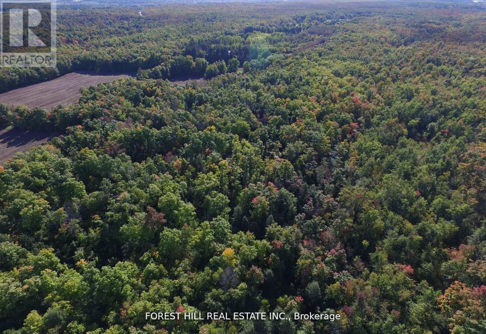 7406 17 SIDE ROAD Image 8