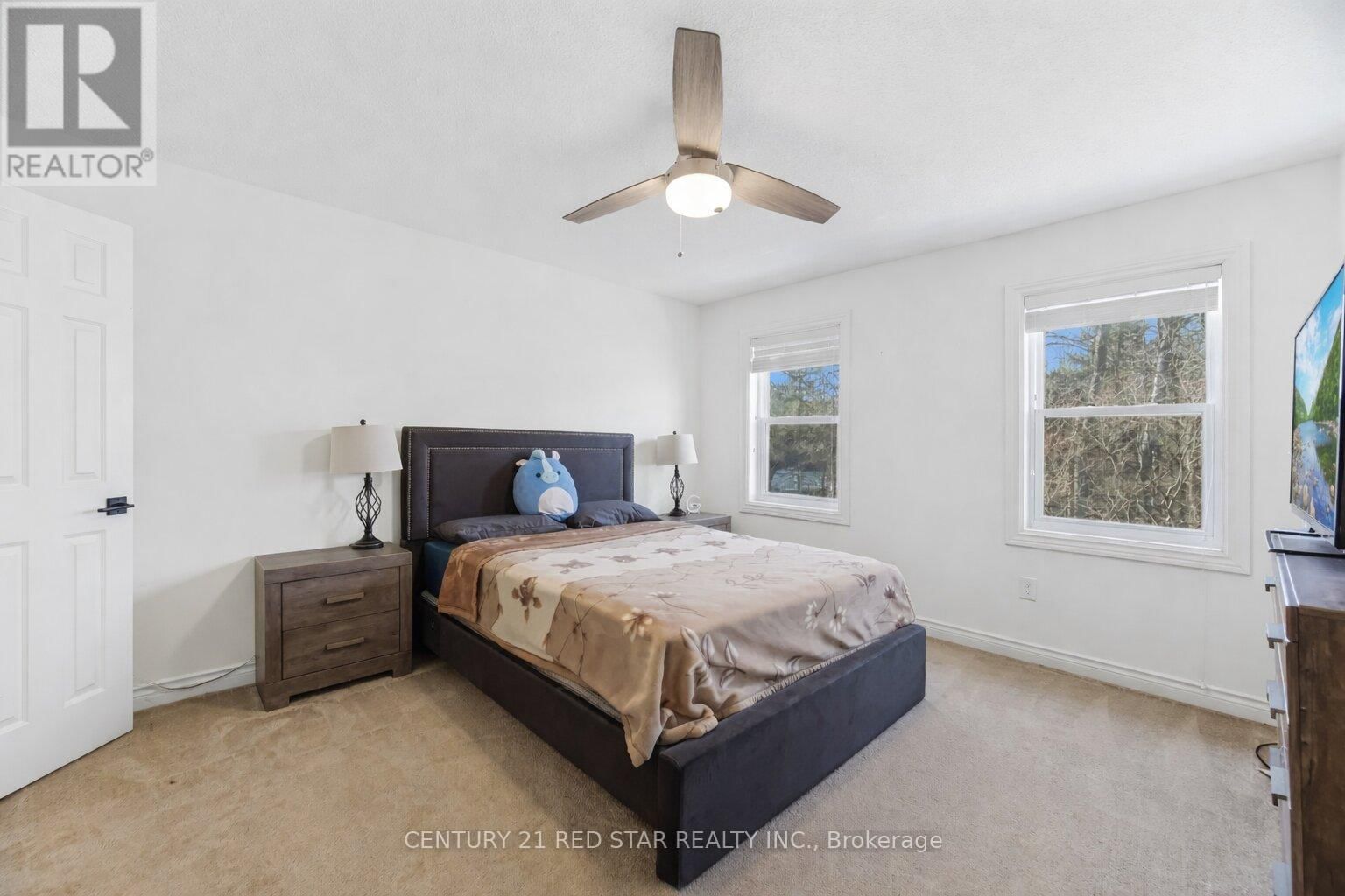 877 THE GRANGE SIDEROAD Image 29