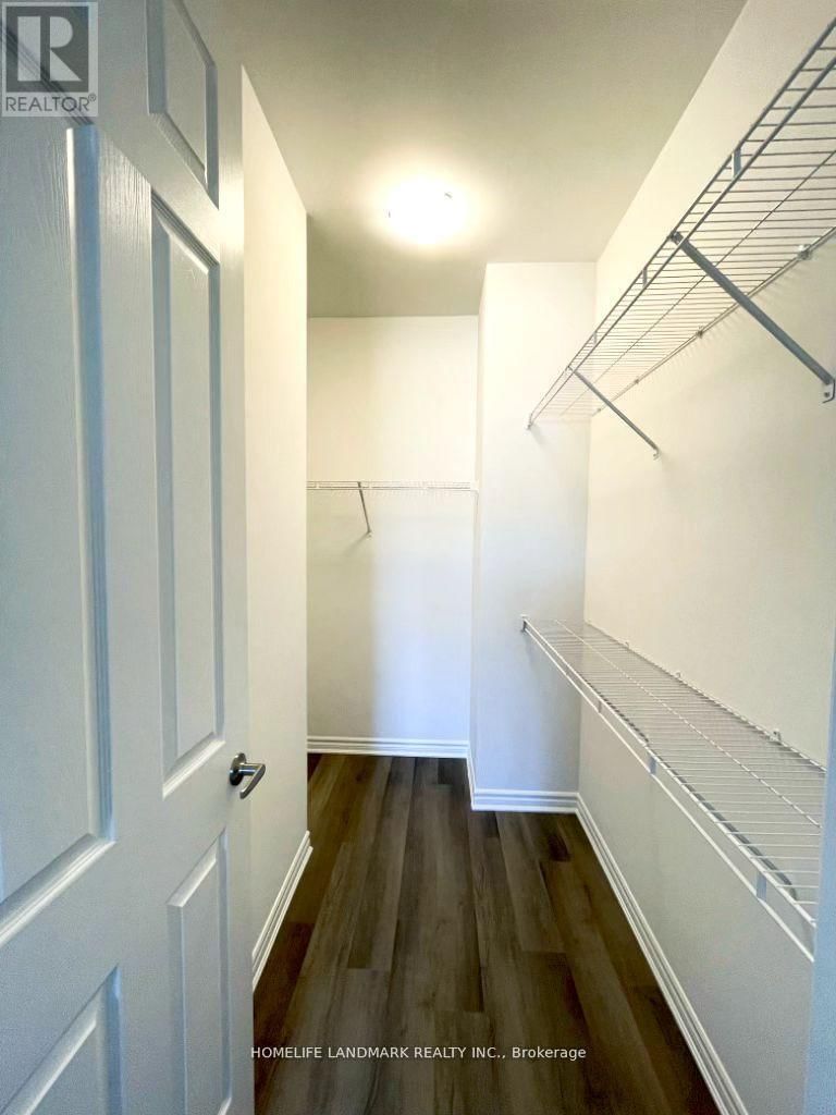 1896 THAMES CIRCLE Image 6