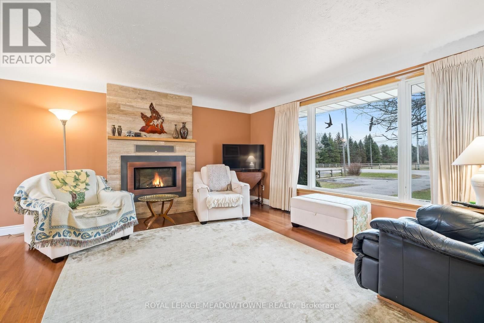 11317 REGIONAL RD 25 ROAD Image 11