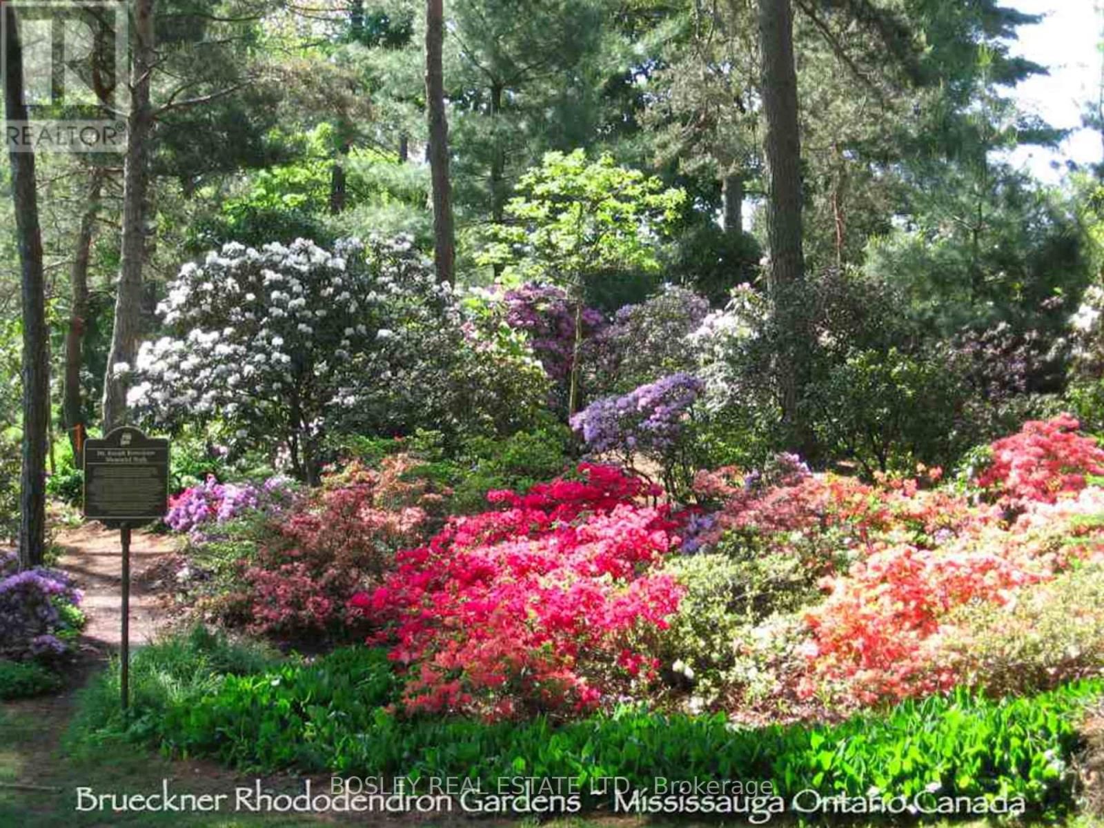 29 GODFREY'S LANE Image 47