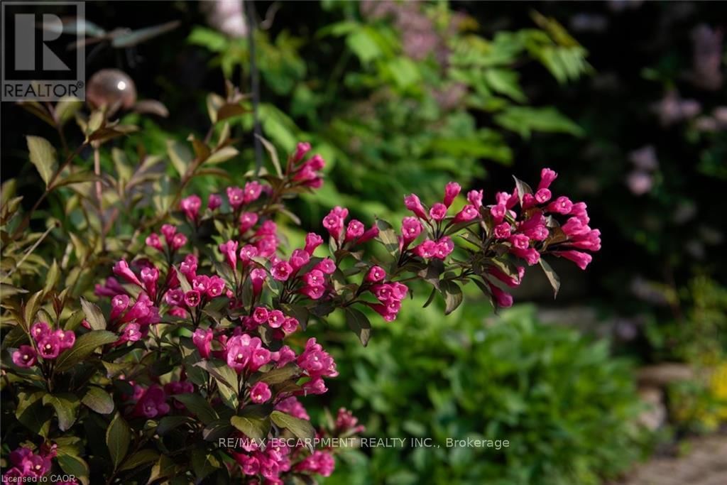 2338 NORLAND DRIVE Image 47