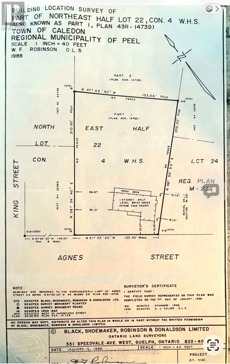 17 AGNES STREET Image 8