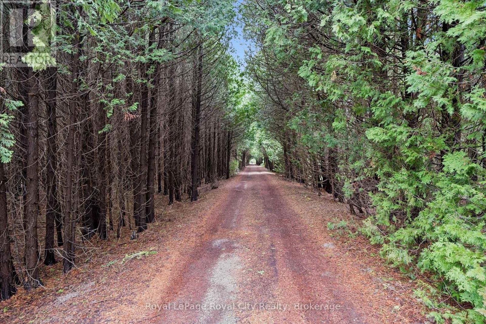 14258 1 LINE Image 2