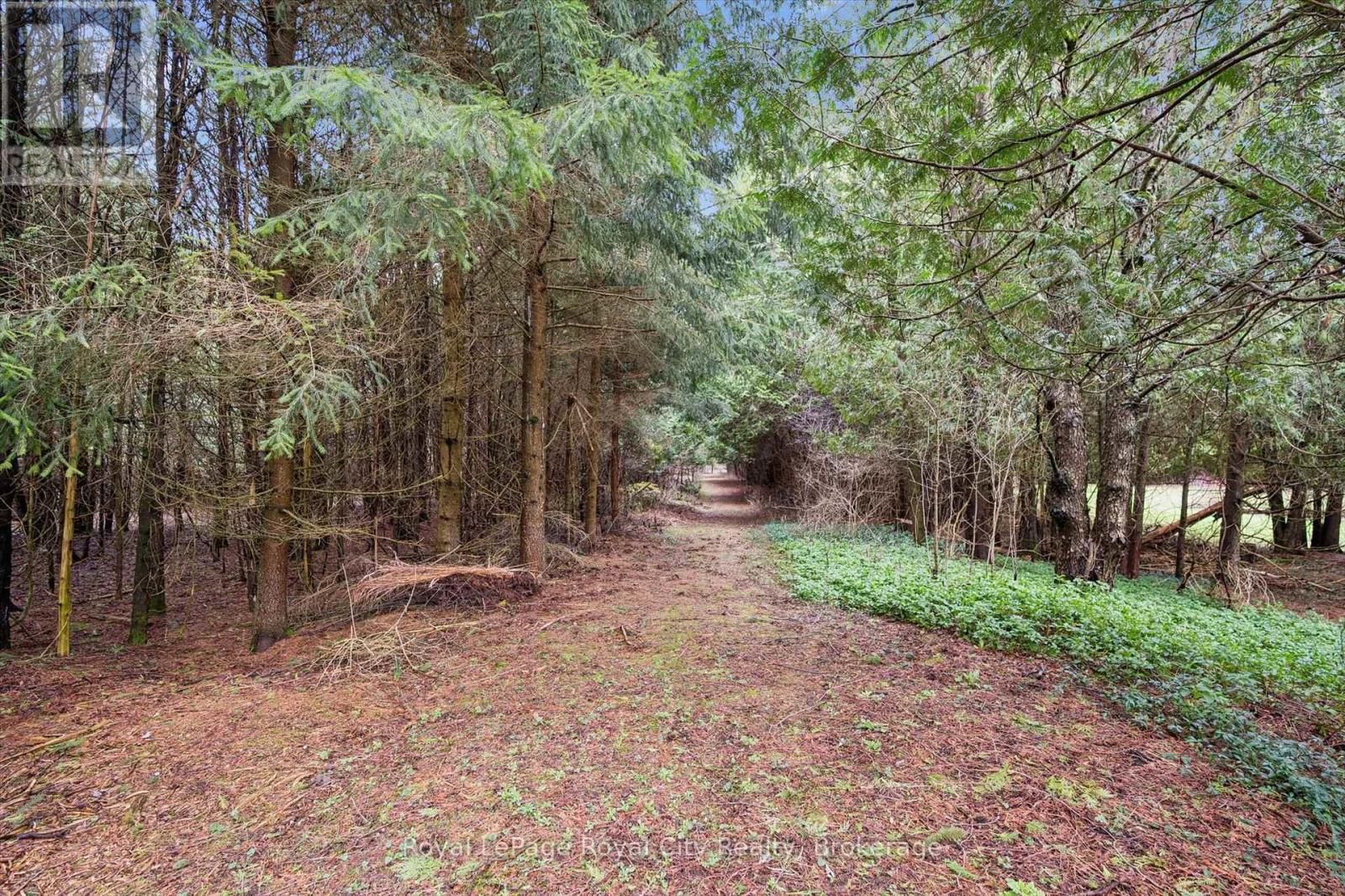 14258 1 LINE Image 21