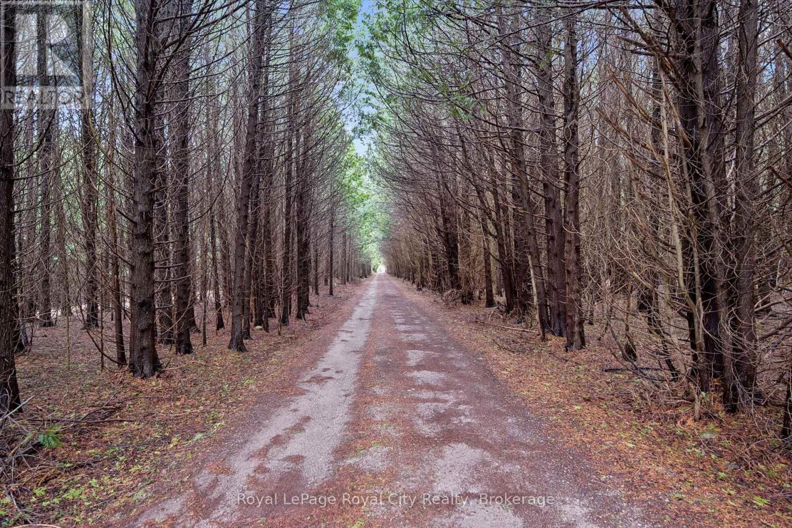 14258 1 LINE Image 24