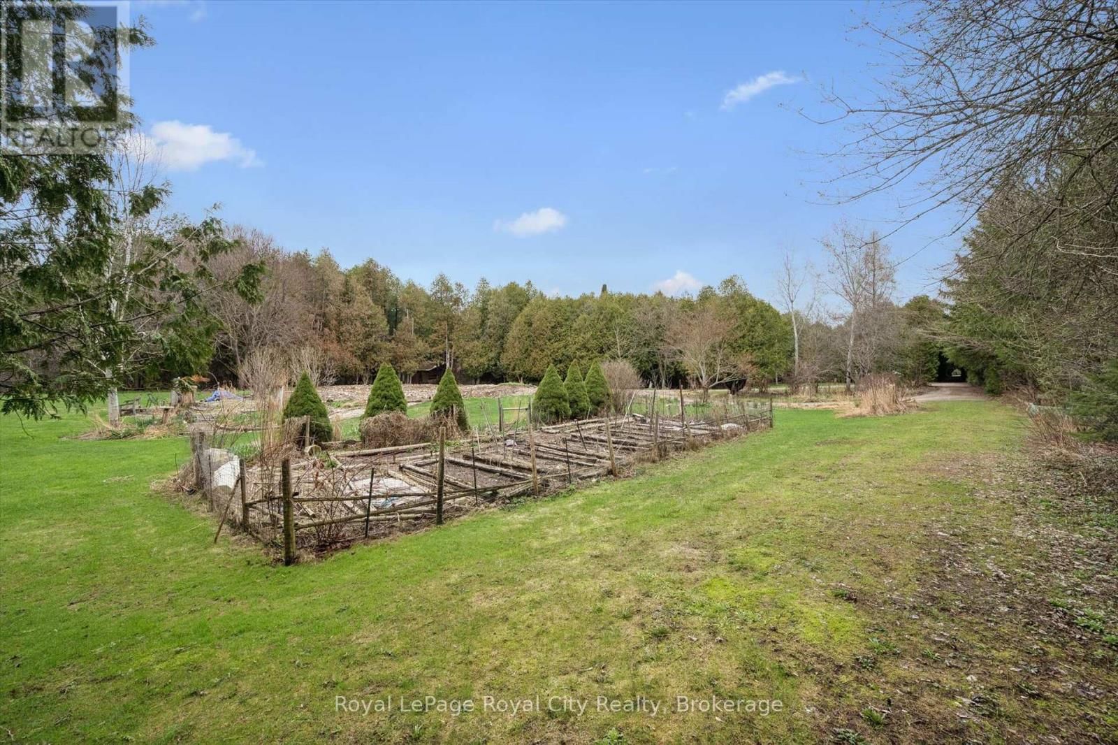 14258 1 LINE Image 5