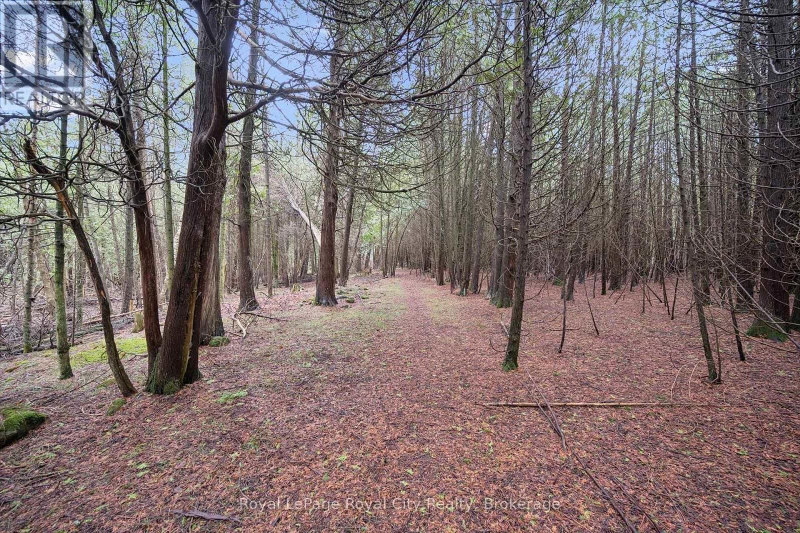 14258 1 LINE Image 7