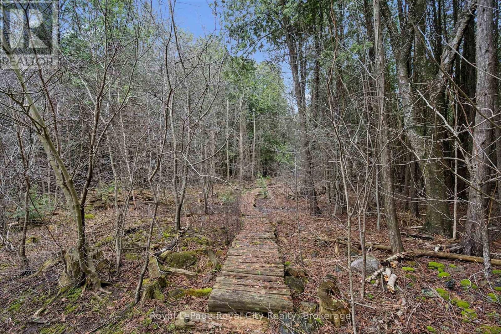 14258 1 LINE Image 8