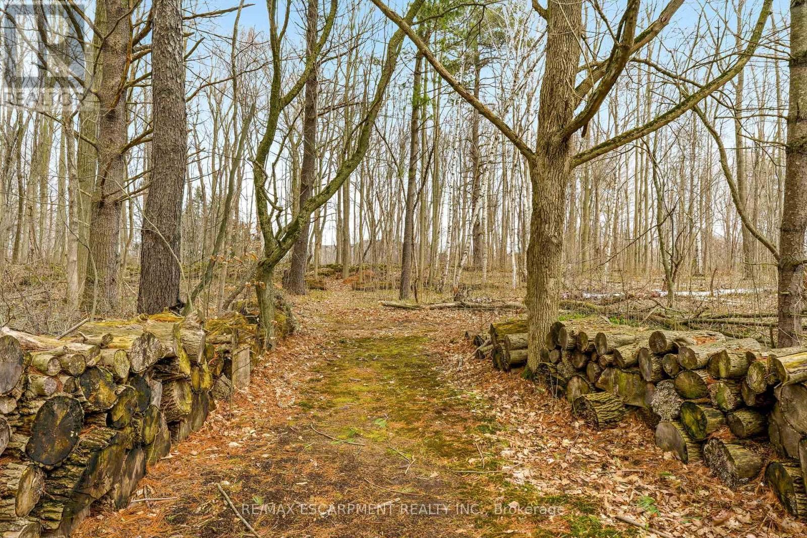 6685 MCNIVEN ROAD Image 47