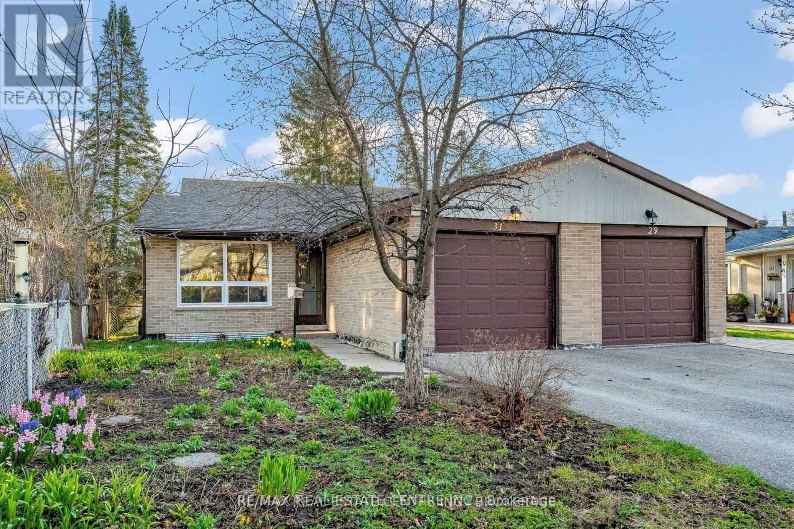 31 SHIRLEY STREET Image 1