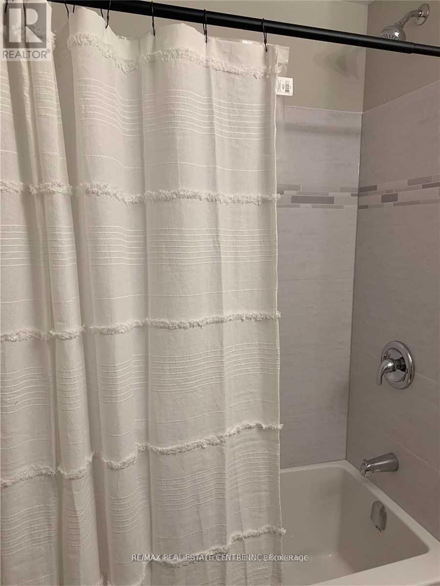 31 SHIRLEY STREET Image 13