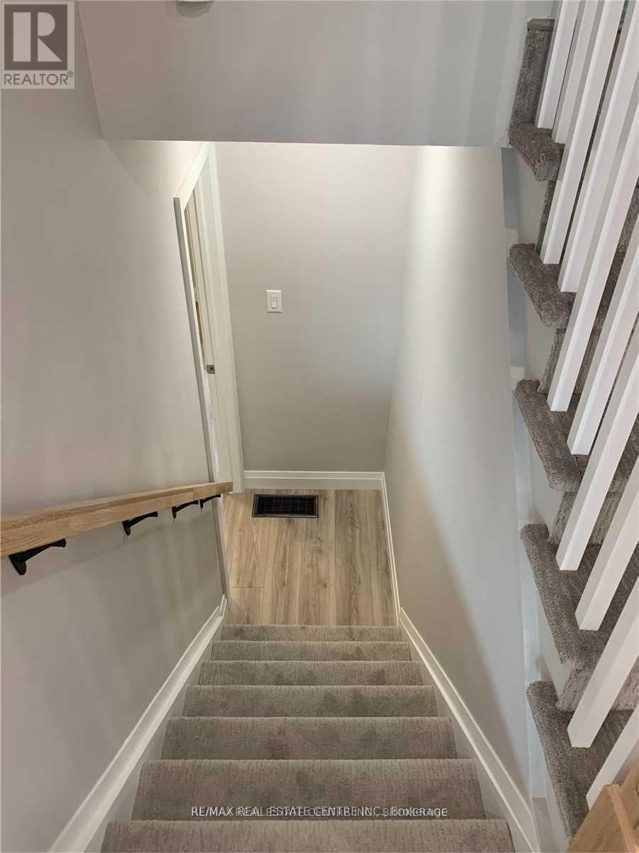 31 SHIRLEY STREET Image 15