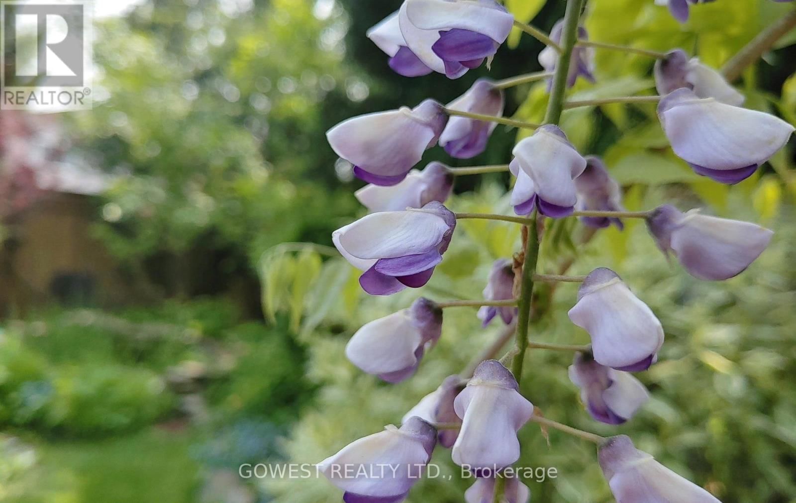 6564 EDENWOOD DRIVE Image 43