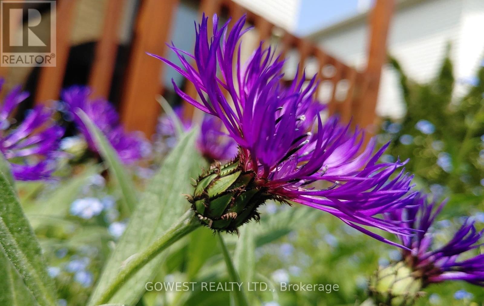 6564 EDENWOOD DRIVE Image 44