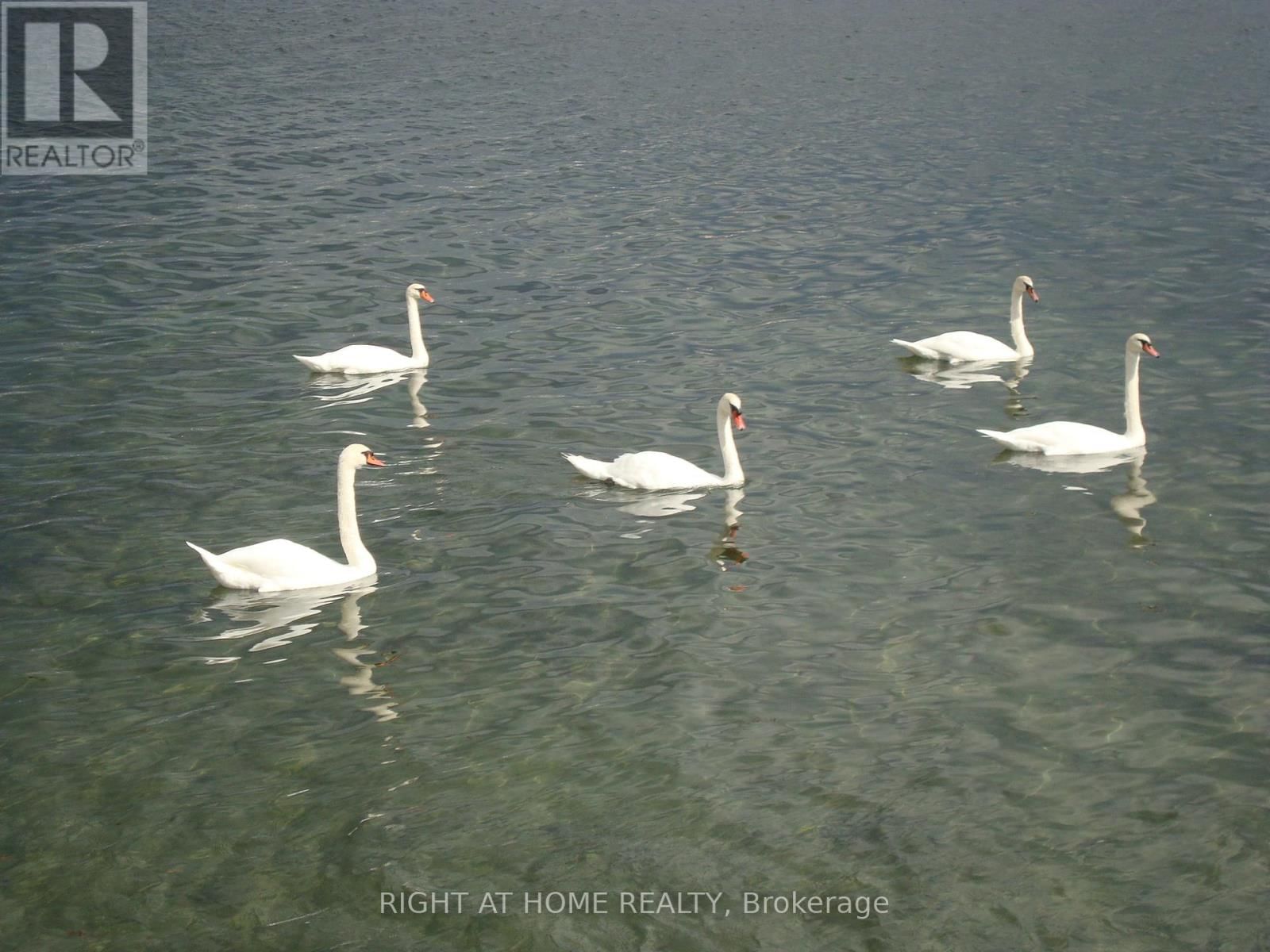 802 - 2663 LAKE SHORE BOULEVARD WEST Image 29