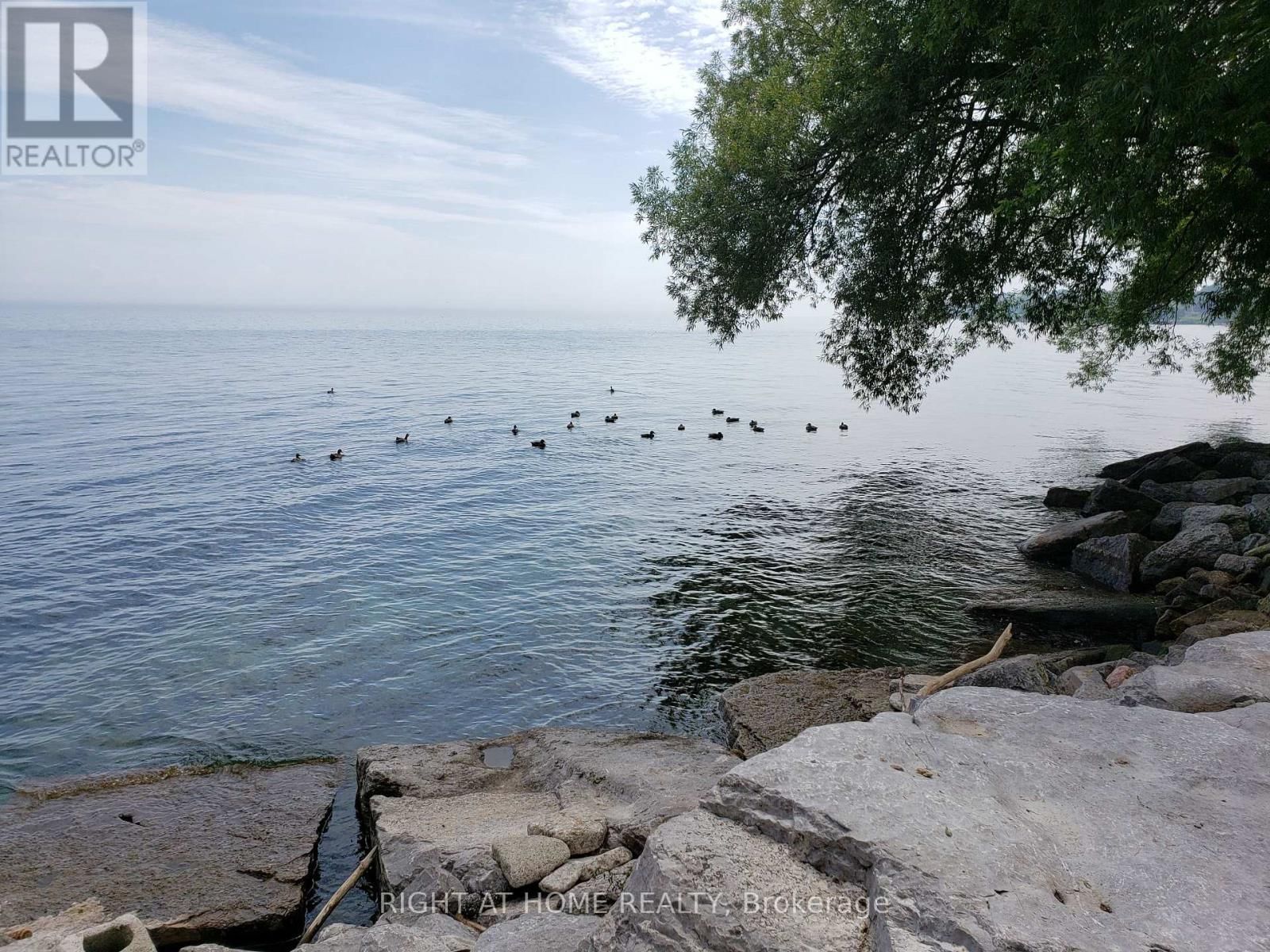 802 - 2663 LAKE SHORE BOULEVARD WEST Image 5