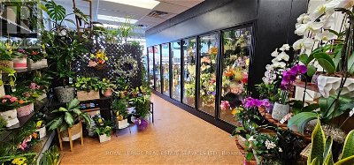Flower Shops for Sale