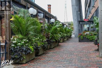 Flower Shops for Sale