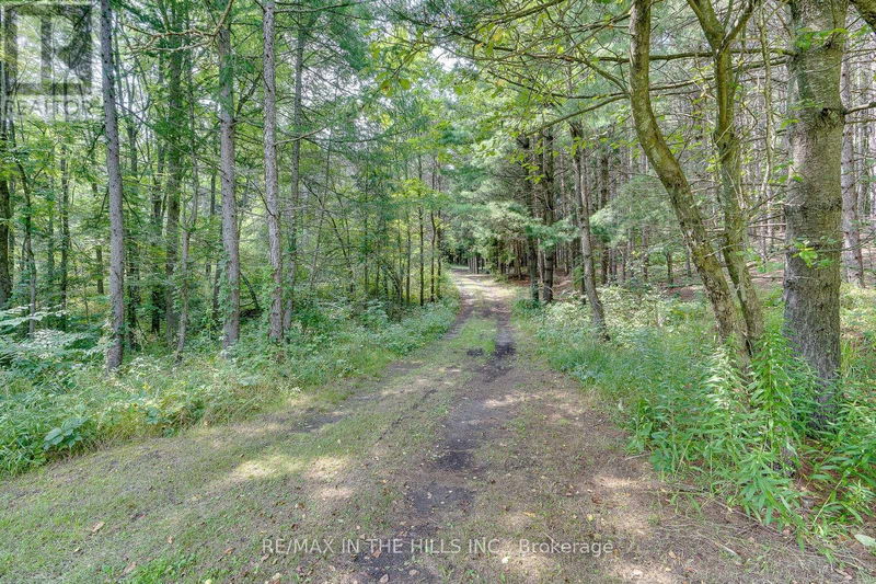 Lot 11 Escarpment Sideroad  Caledon, L7K1E8 | Image 11