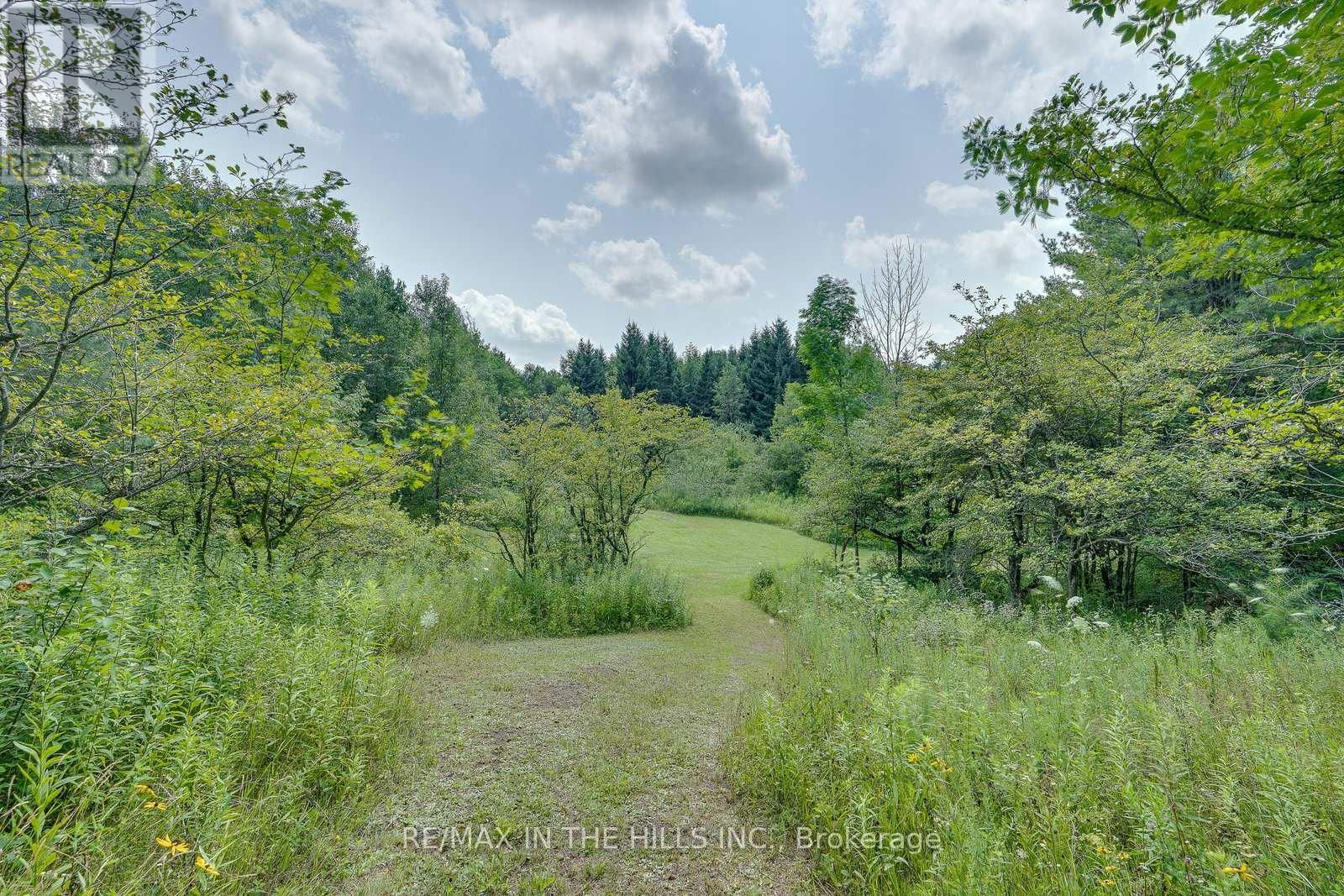 LOT 11 CONCESSION 4 ESCARPMENT SIDE ROAD Image 15