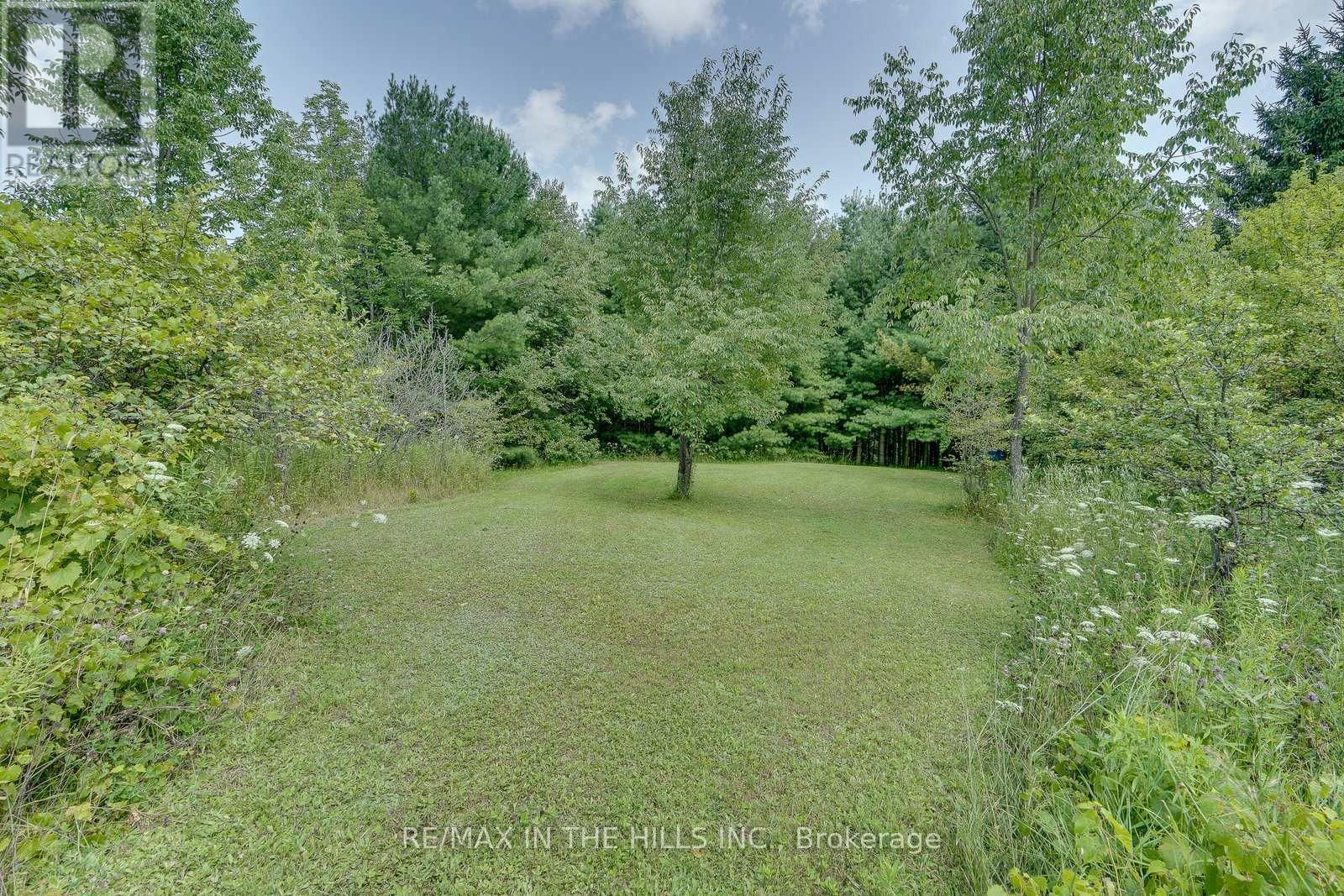 LOT 11 CONCESSION 4 ESCARPMENT SIDE ROAD Image 18