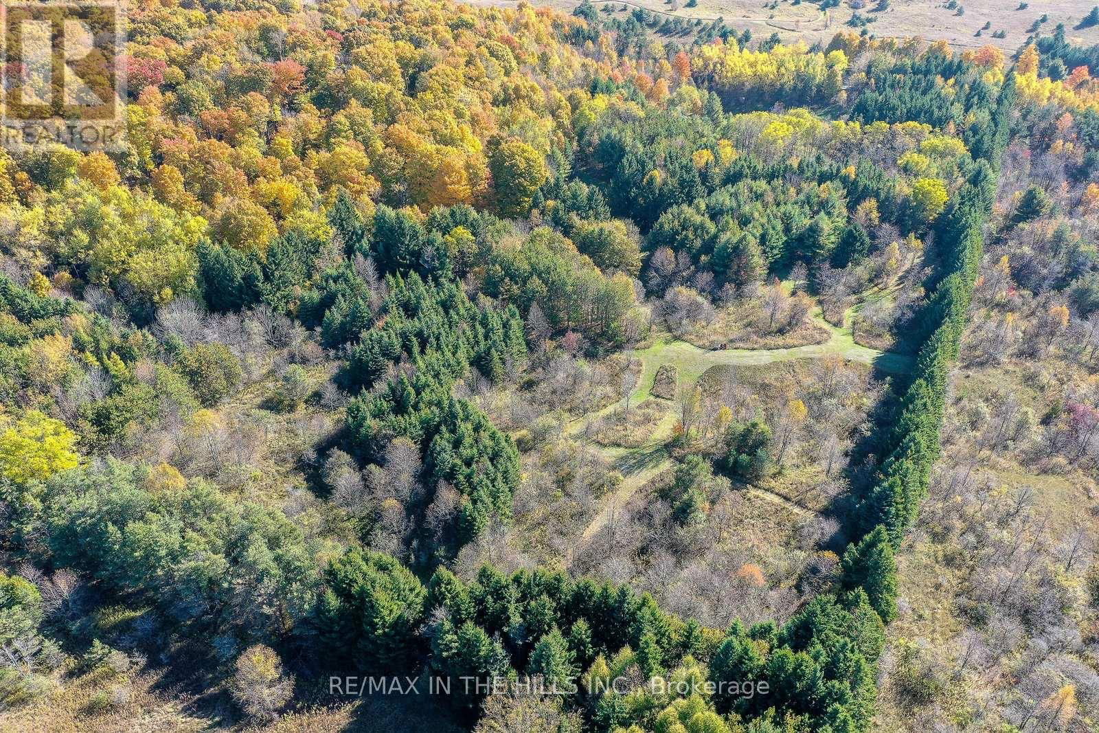 LOT 11 CONCESSION 4 ESCARPMENT SIDE ROAD Image 22