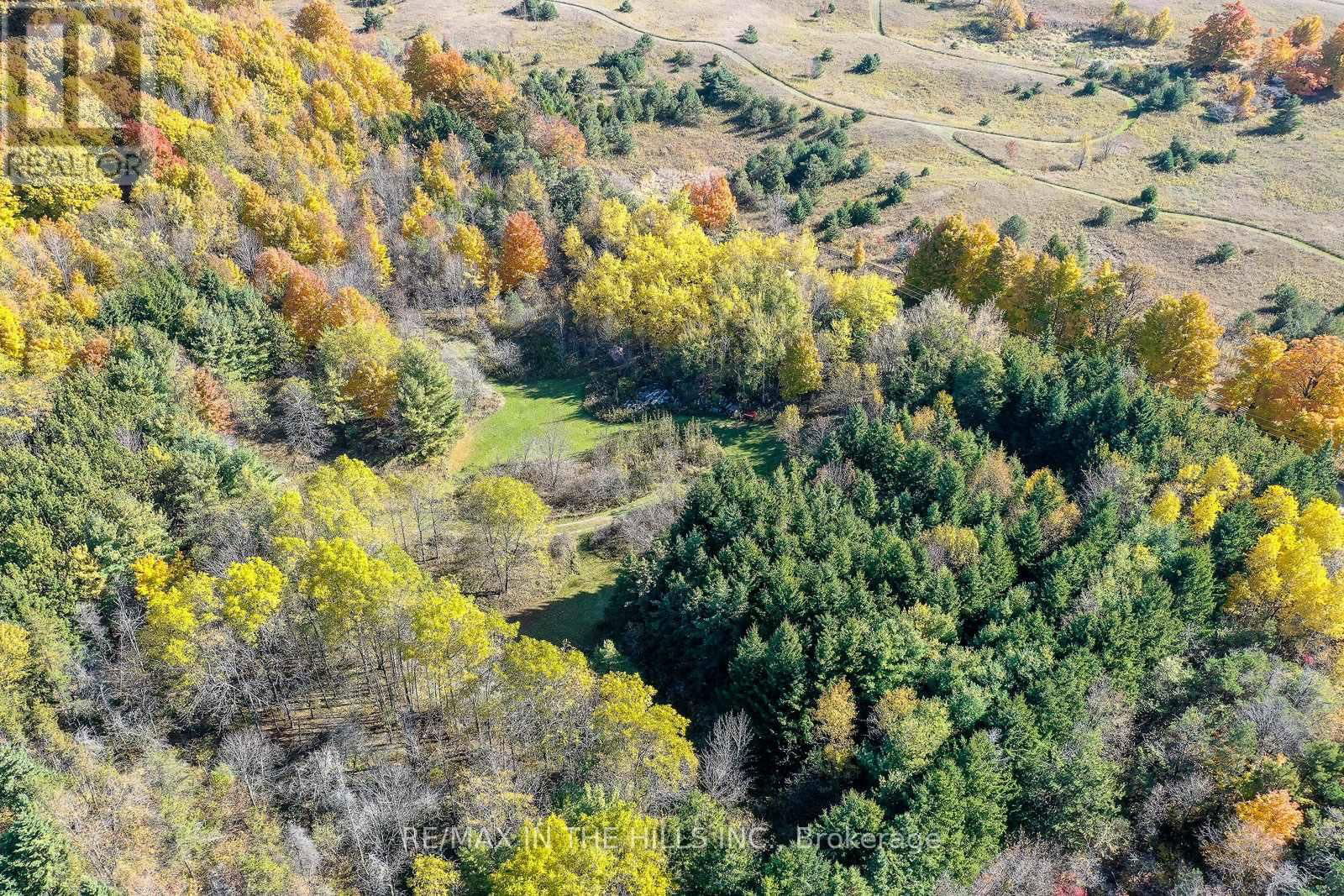 LOT 11 CONCESSION 4 ESCARPMENT SIDE ROAD Image 23