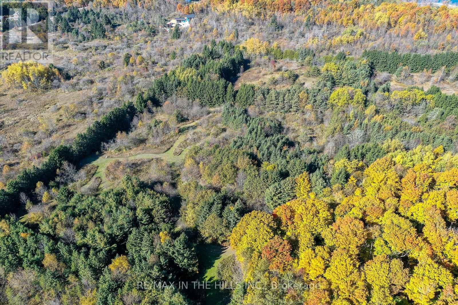 LOT 11 CONCESSION 4 ESCARPMENT SIDE ROAD Image 24