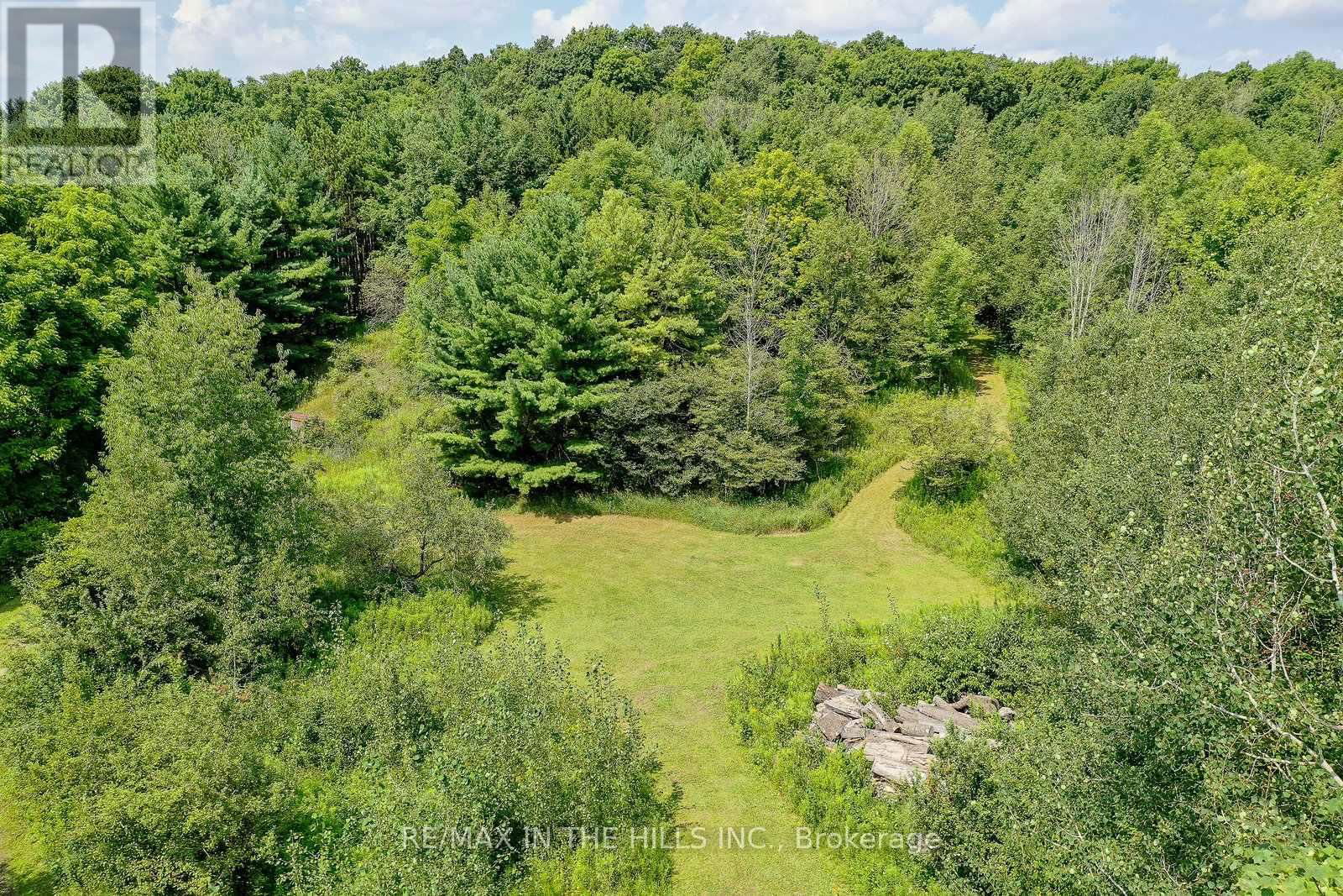 LOT 11 CONCESSION 4 ESCARPMENT SIDE ROAD Image 4