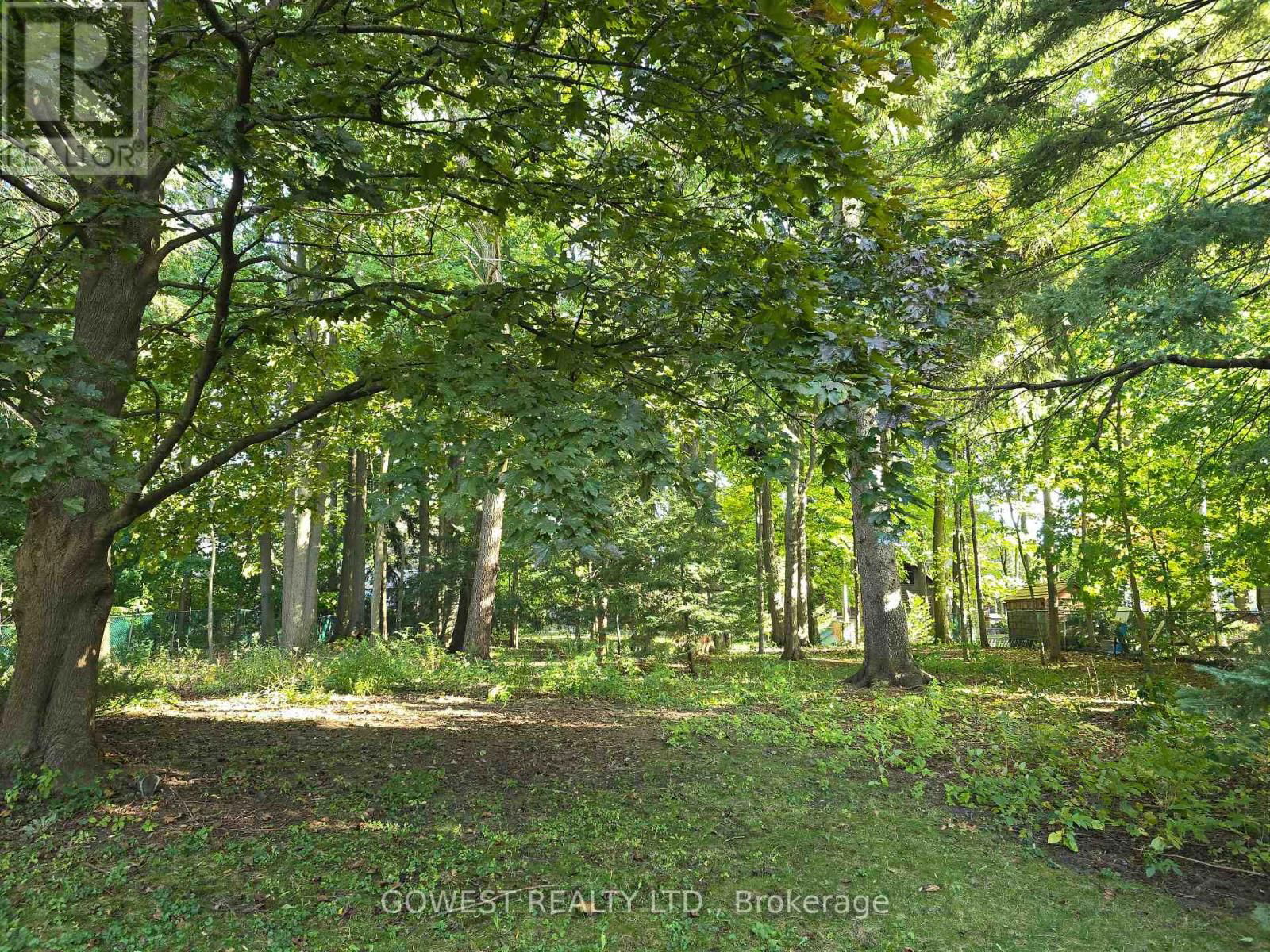 62 PINEWOOD TRAIL Image 6