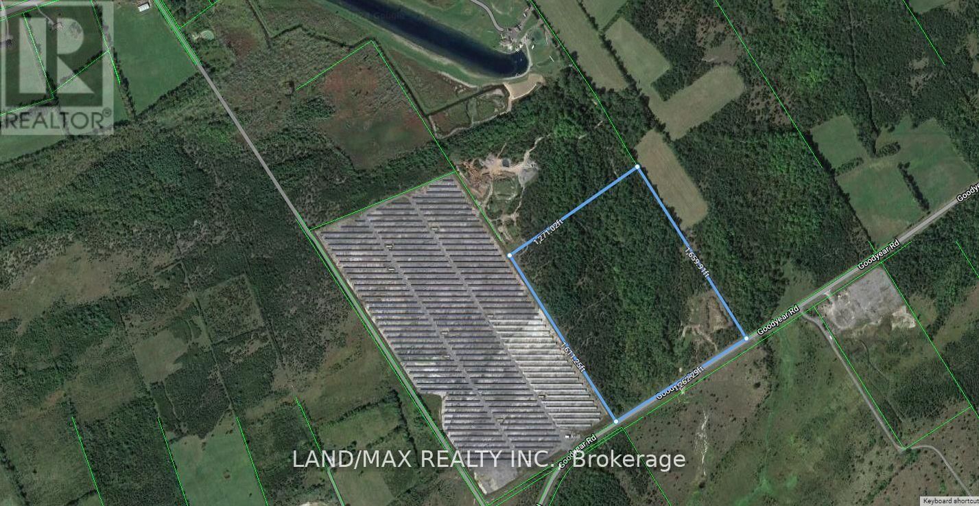 Primary Property View