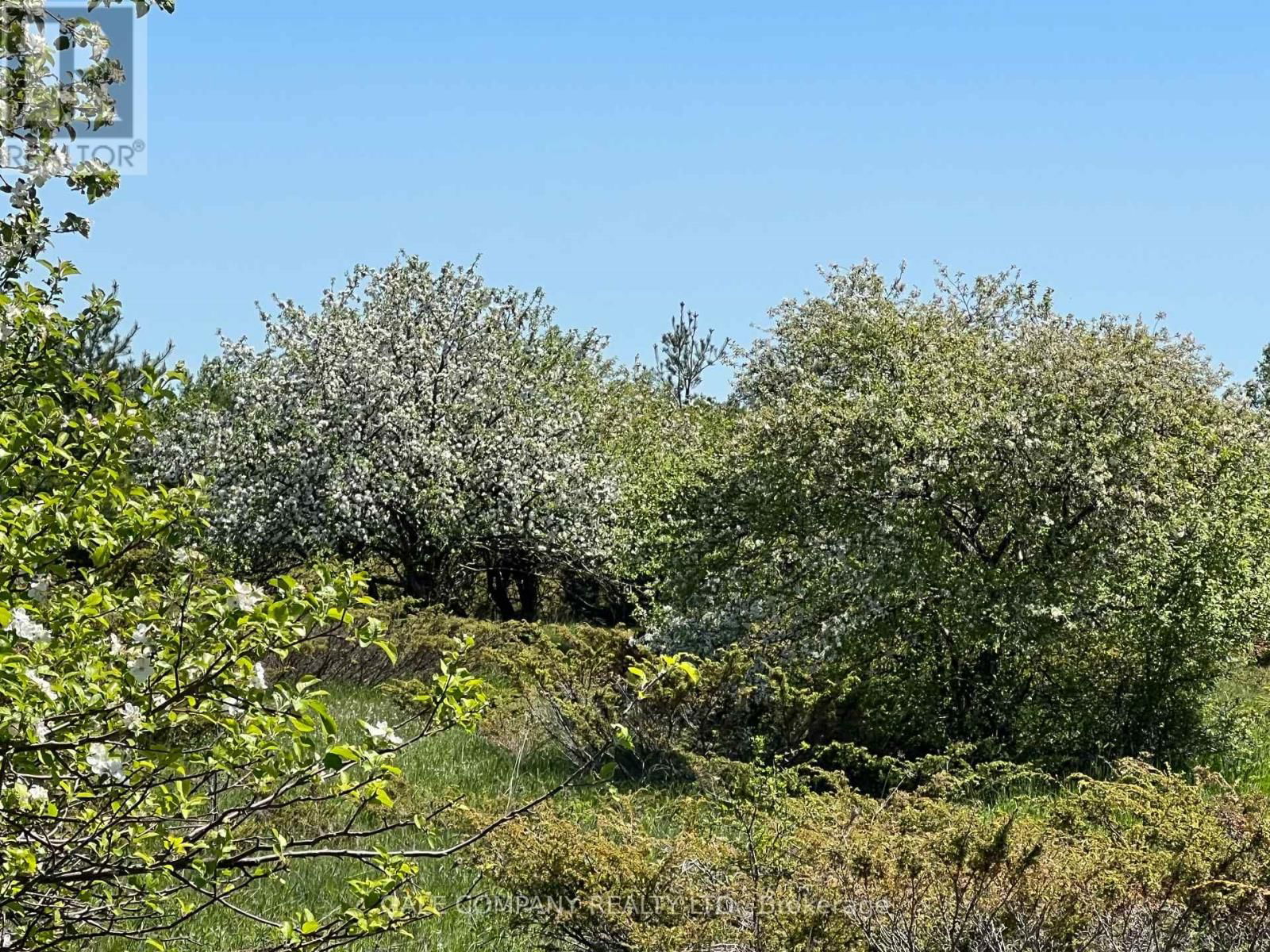 0 UPPER DWYER HILL ROAD Image 15
