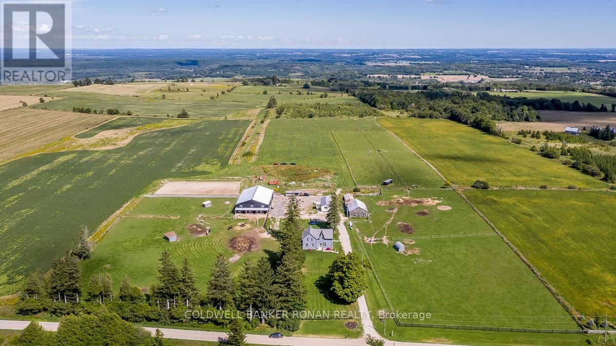 Primary Property View